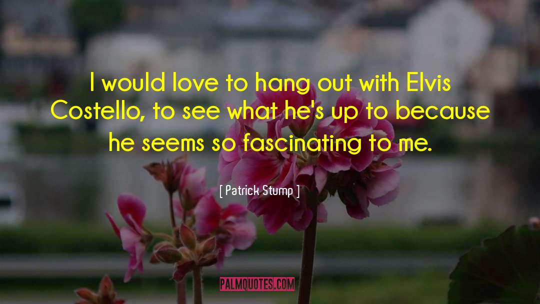 Patrick Stump Quotes: I would love to hang