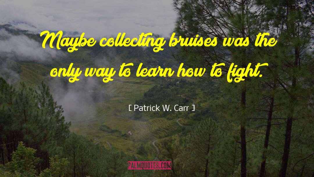 Patrick W. Carr Quotes: Maybe collecting bruises was the