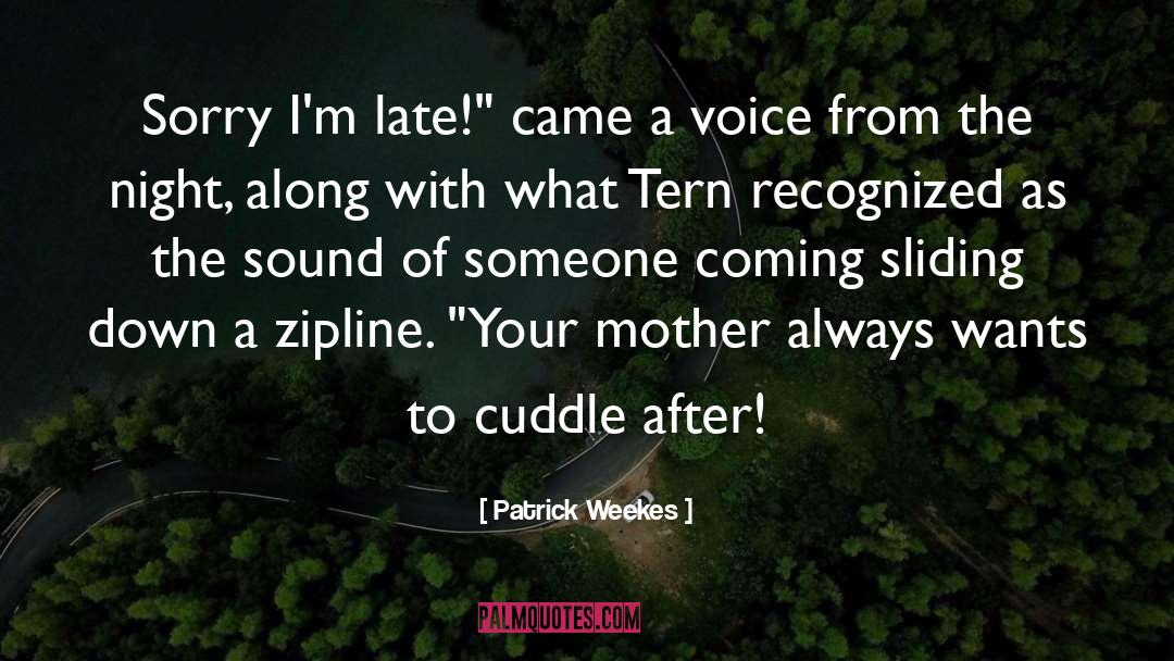 Patrick Weekes Quotes: Sorry I'm late!