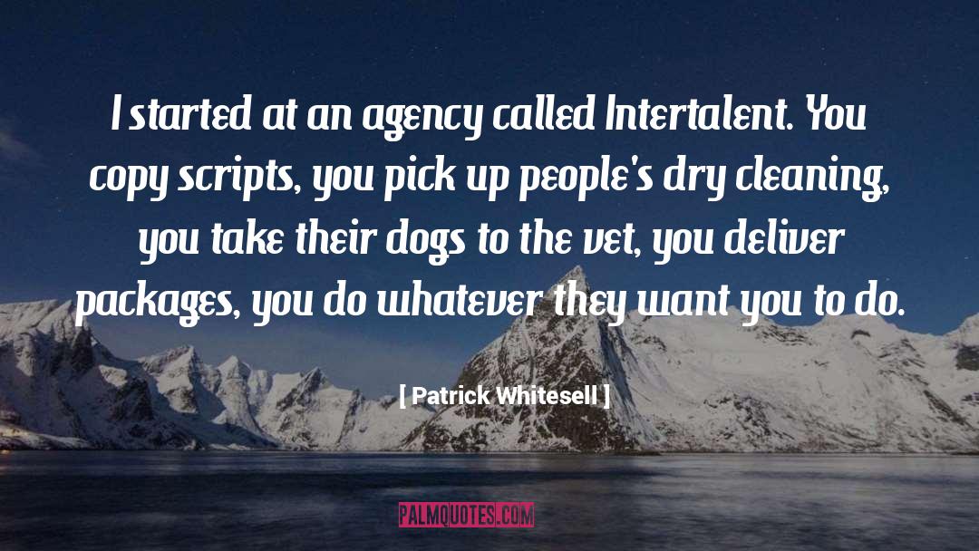 Patrick Whitesell Quotes: I started at an agency