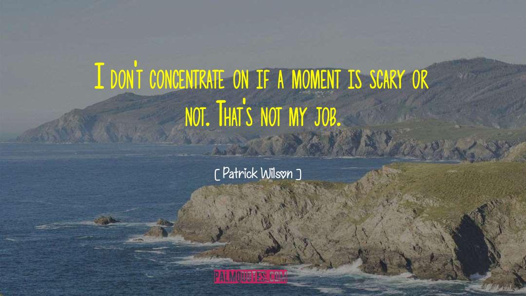 Patrick Wilson Quotes: I don't concentrate on if
