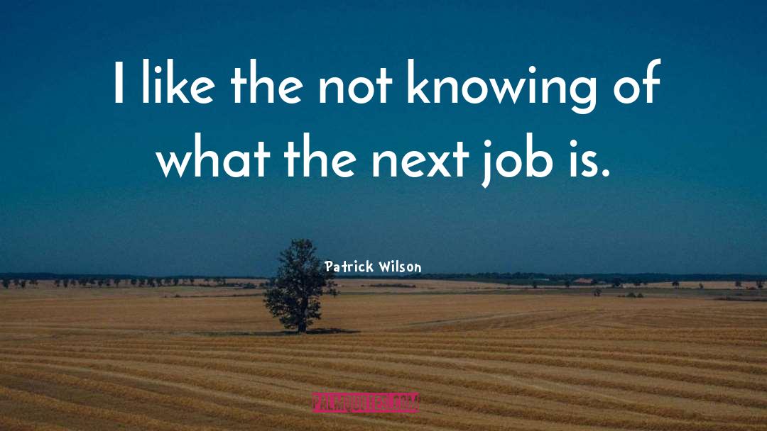 Patrick Wilson Quotes: I like the not knowing