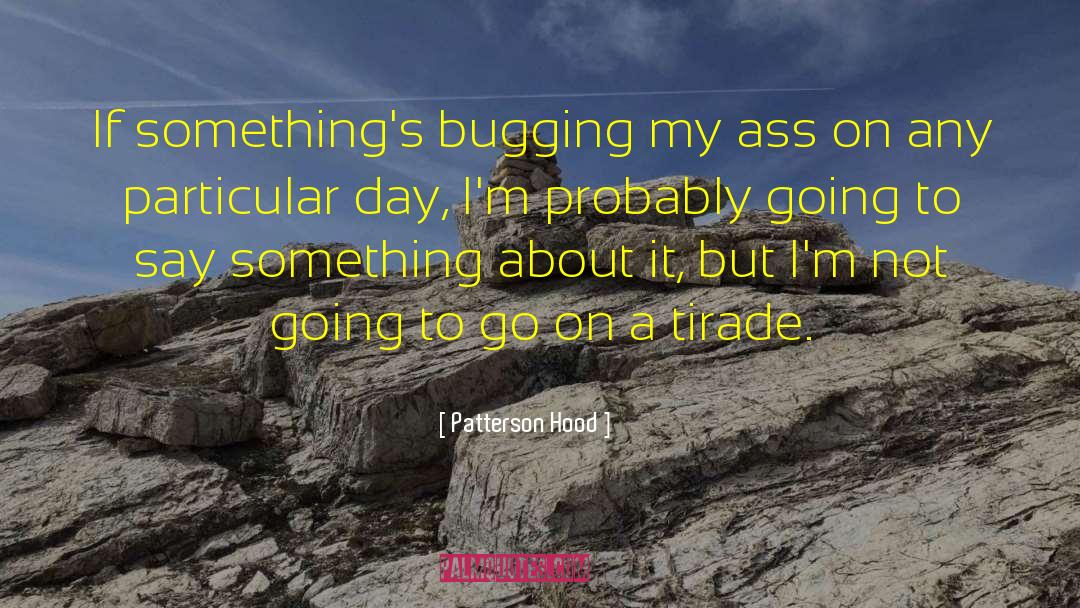 Patterson Hood Quotes: If something's bugging my ass