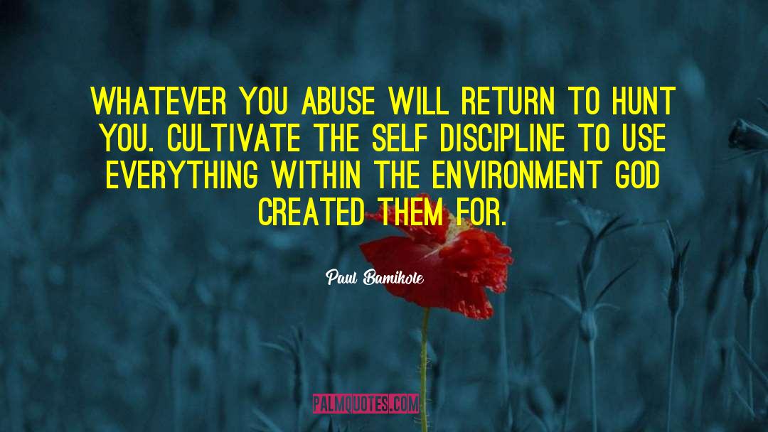 Paul Bamikole Quotes: Whatever you abuse will return