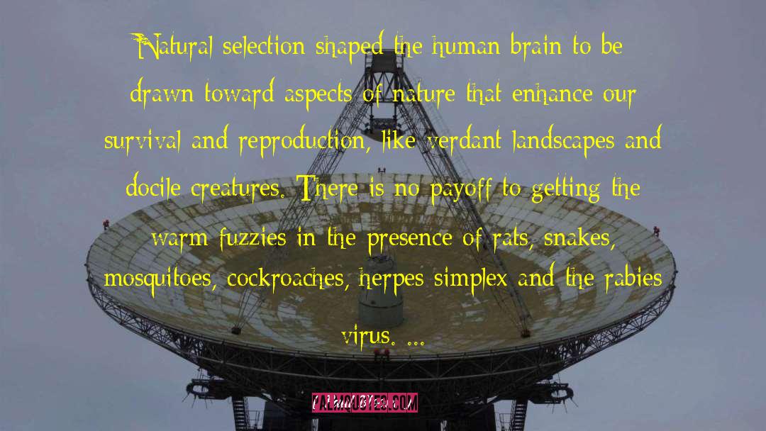 Paul Bloom Quotes: Natural selection shaped the human