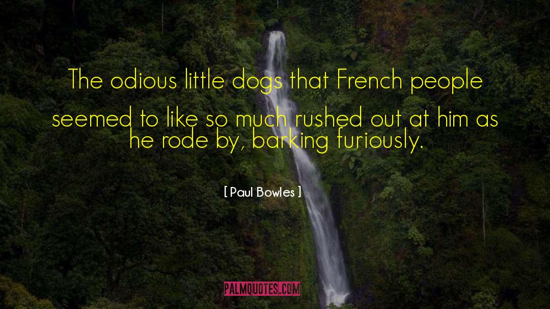 Paul Bowles Quotes: The odious little dogs that