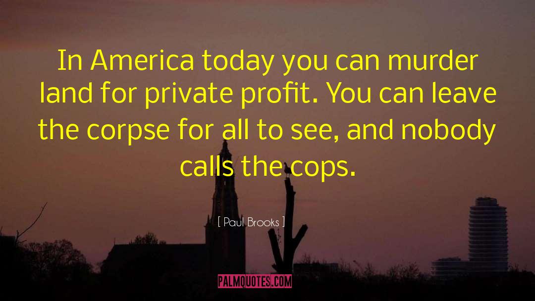 Paul Brooks Quotes: In America today you can