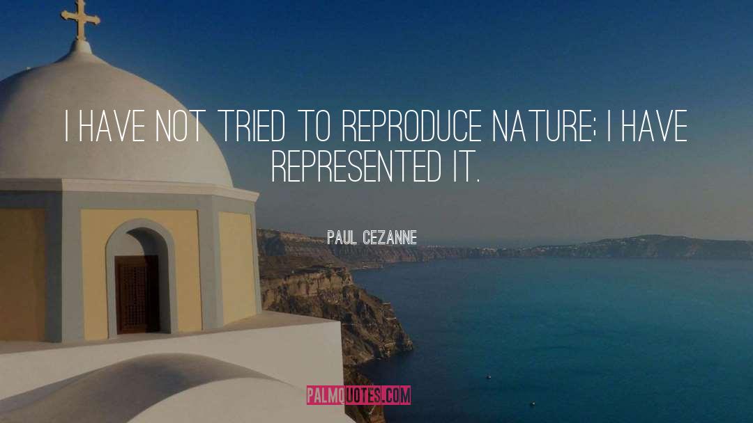 Paul Cezanne Quotes: I have not tried to