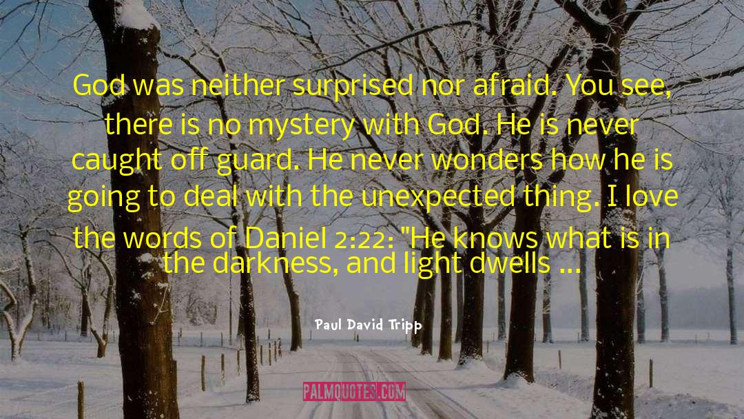 Paul David Tripp Quotes: God was neither surprised nor