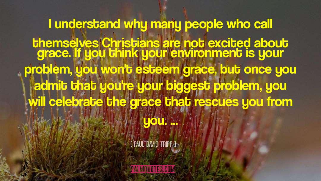 Paul David Tripp Quotes: I understand why many people