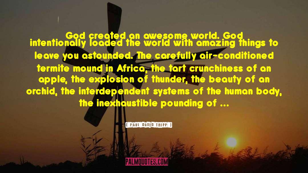 Paul David Tripp Quotes: God created an awesome world.