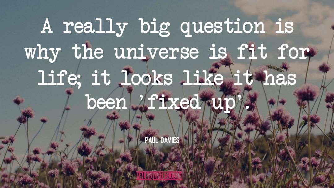 Paul Davies Quotes: A really big question is