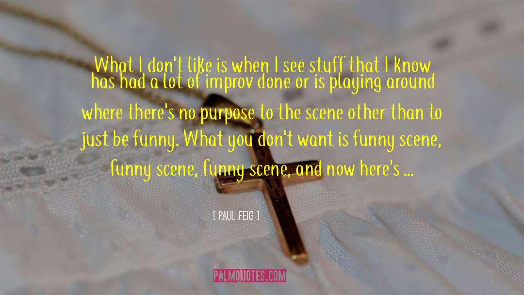 Paul Feig Quotes: What I don't like is