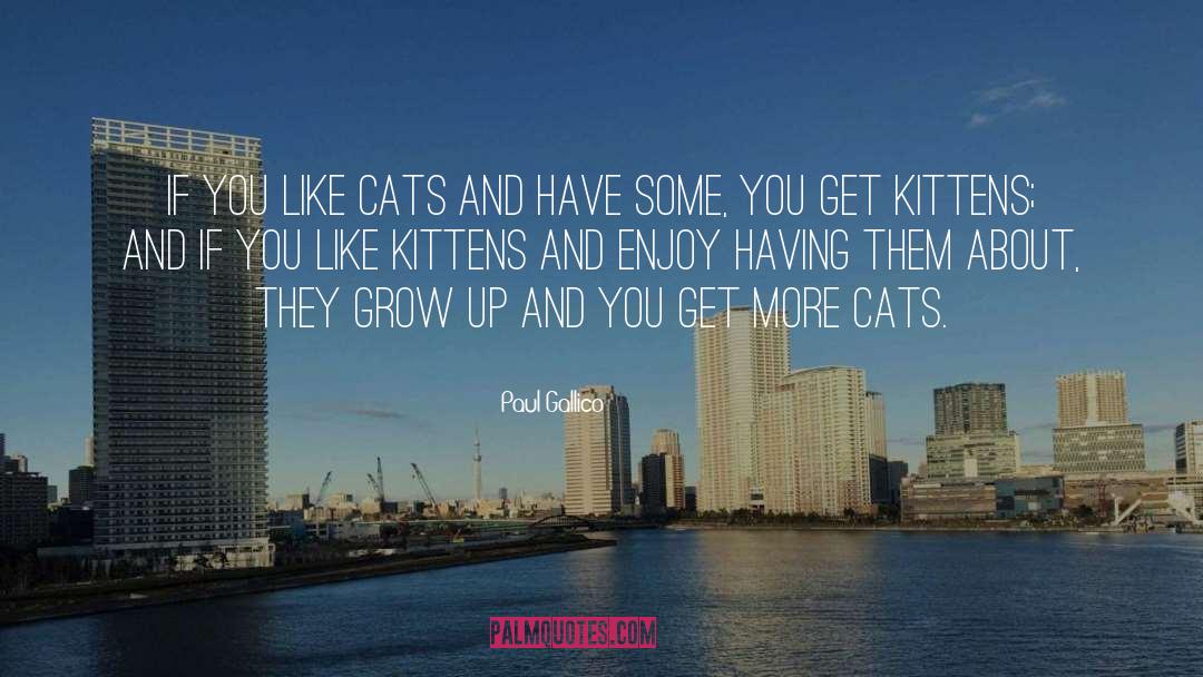 Paul Gallico Quotes: If you like cats and