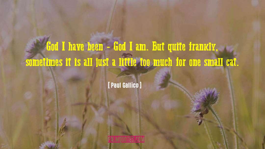 Paul Gallico Quotes: God I have been -