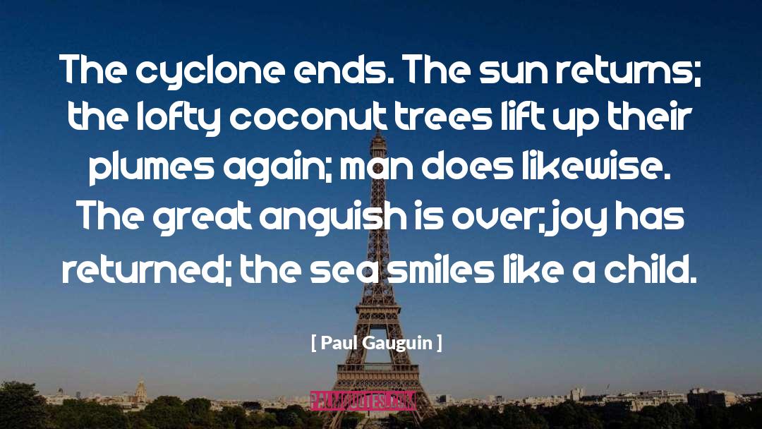 Paul Gauguin Quotes: The cyclone ends. The sun