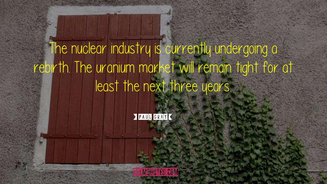 Paul Gray Quotes: The nuclear industry is currently