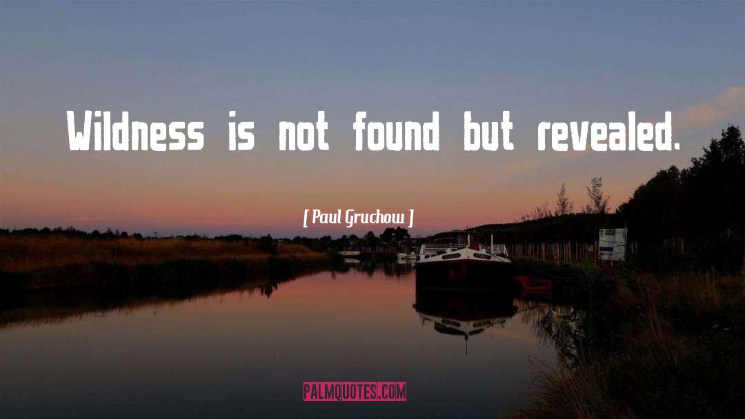 Paul Gruchow Quotes: Wildness is not found but