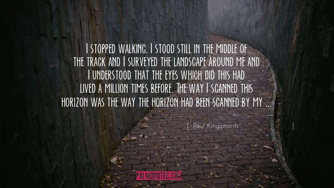 Paul Kingsnorth Quotes: I stopped walking. I stood