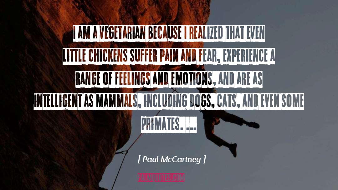 Paul McCartney Quotes: I am a vegetarian because