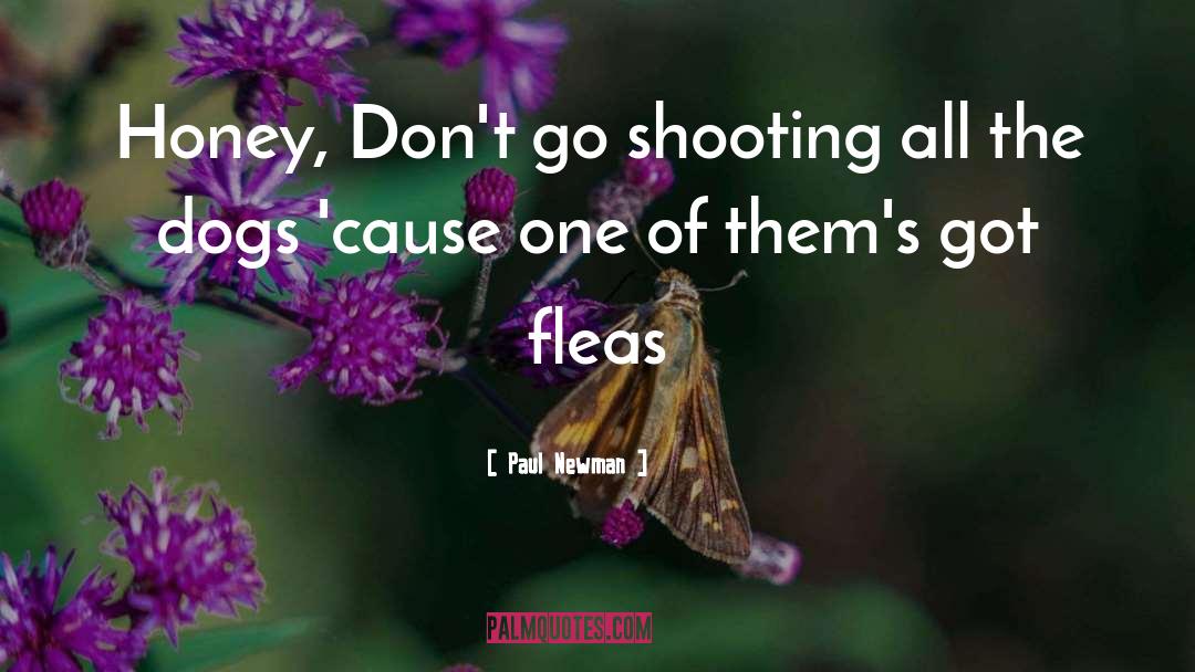 Paul Newman Quotes: Honey, Don't go shooting all