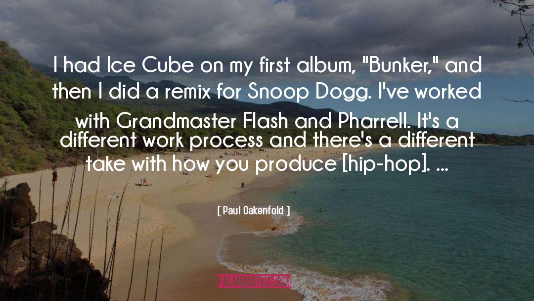 Paul Oakenfold Quotes: I had Ice Cube on