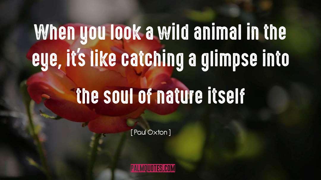 Paul Oxton Quotes: When you look a wild