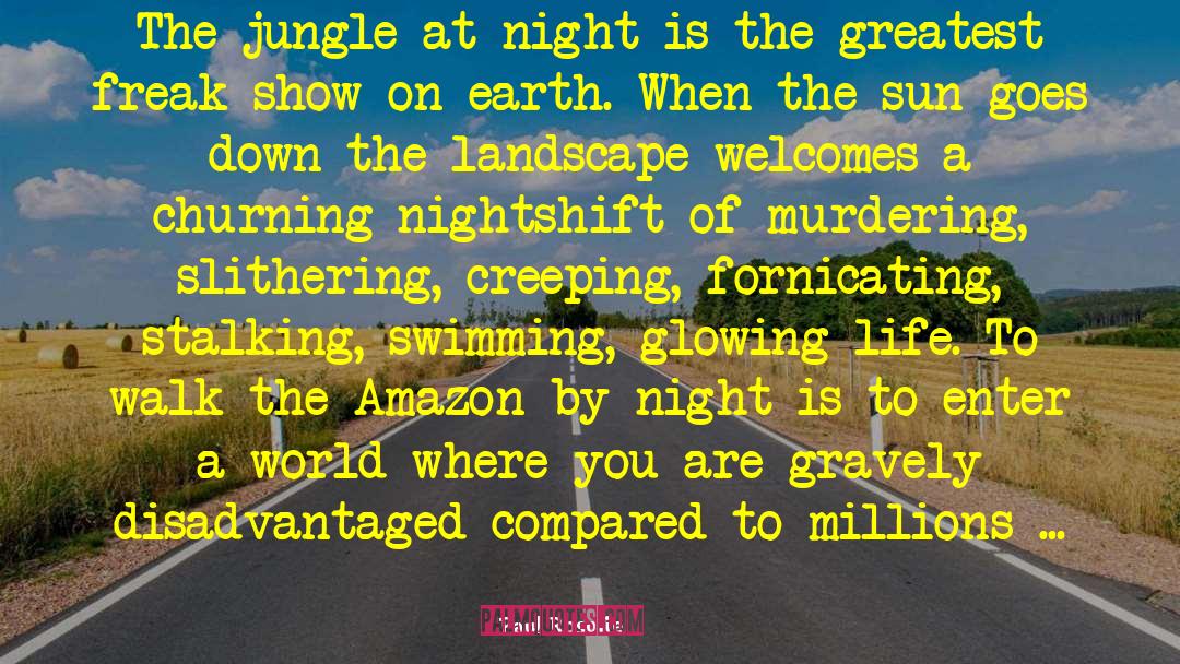 Paul Rosolie Quotes: The jungle at night is