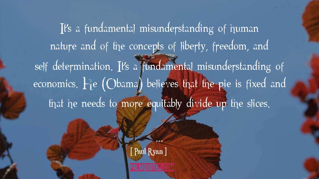 Paul Ryan Quotes: It's a fundamental misunderstanding of