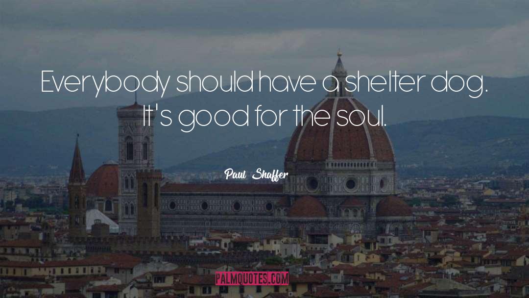 Paul Shaffer Quotes: Everybody should have a shelter