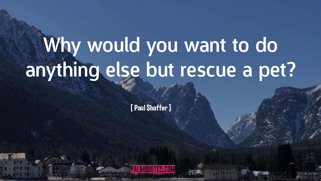Paul Shaffer Quotes: Why would you want to