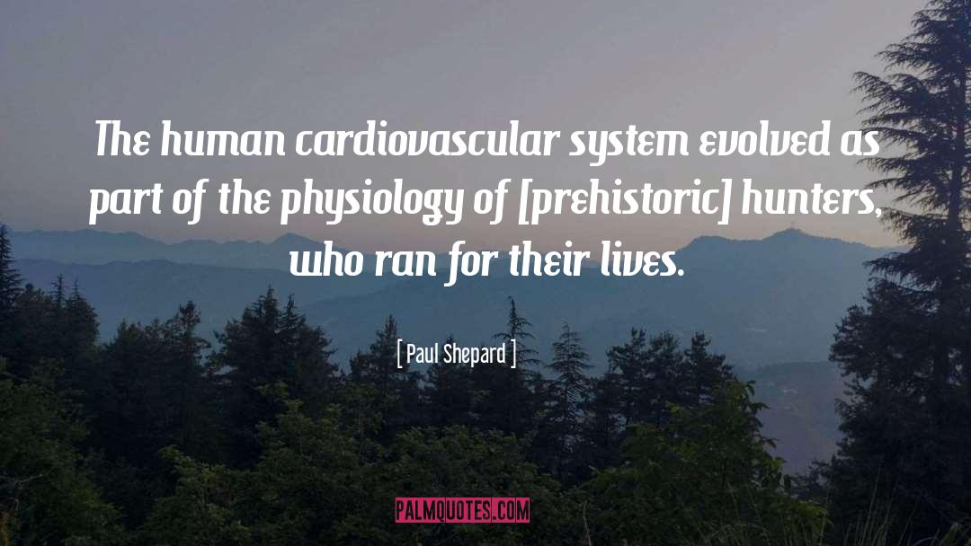 Paul Shepard Quotes: The human cardiovascular system evolved
