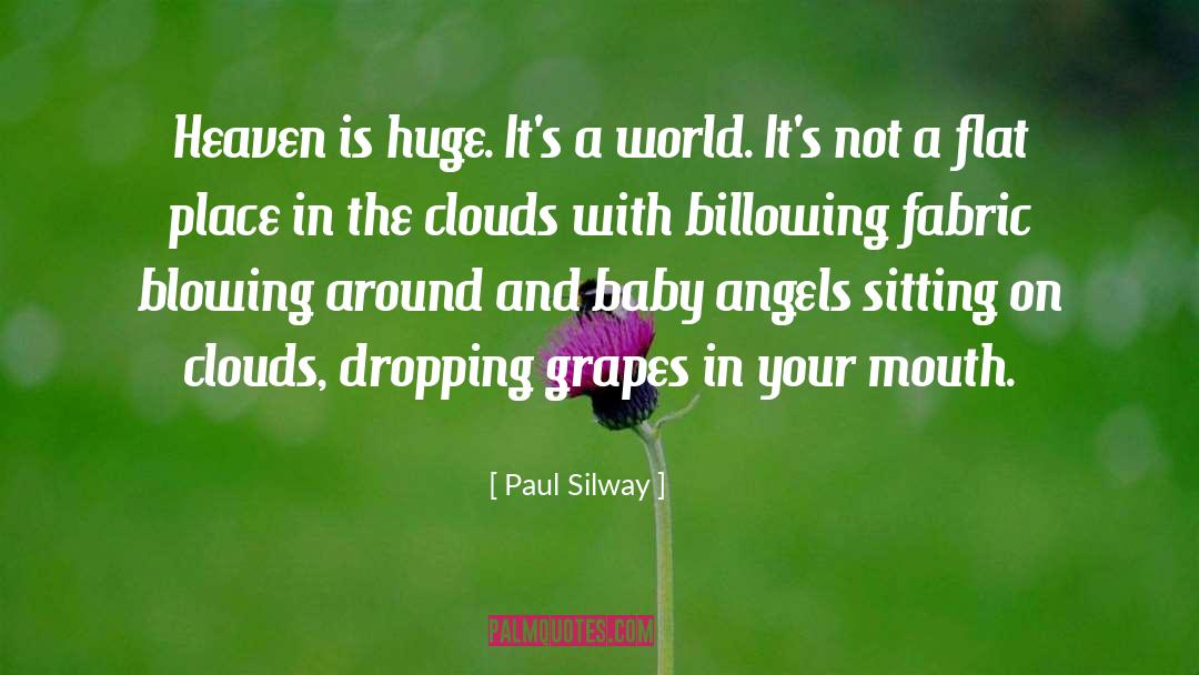Paul Silway Quotes: Heaven is huge. It's a