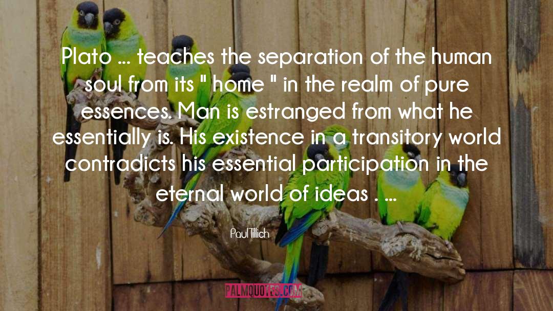 Paul Tillich Quotes: Plato ... teaches the separation