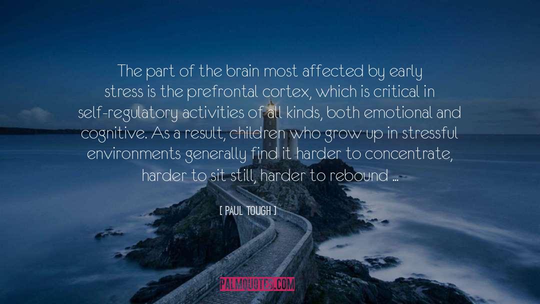 Paul Tough Quotes: The part of the brain