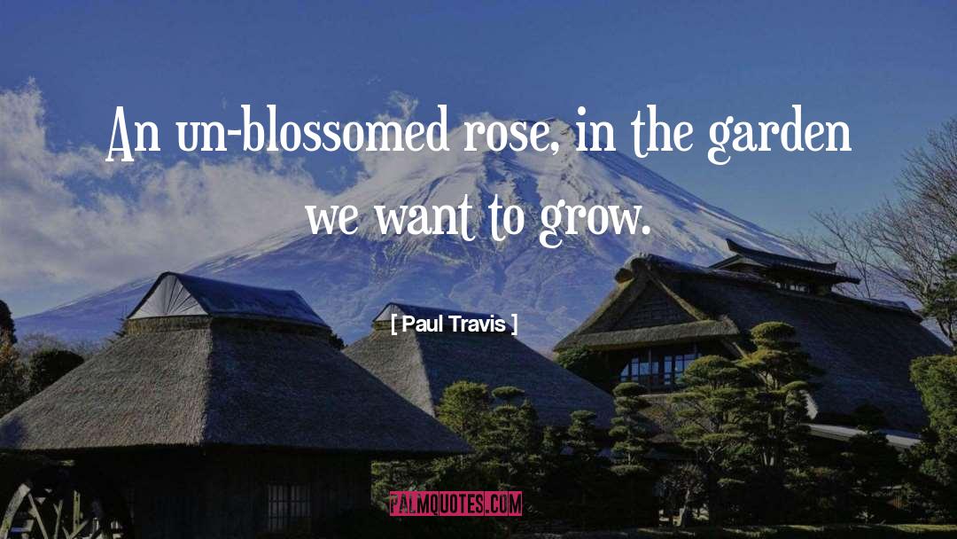 Paul Travis Quotes: An un-blossomed rose, in the