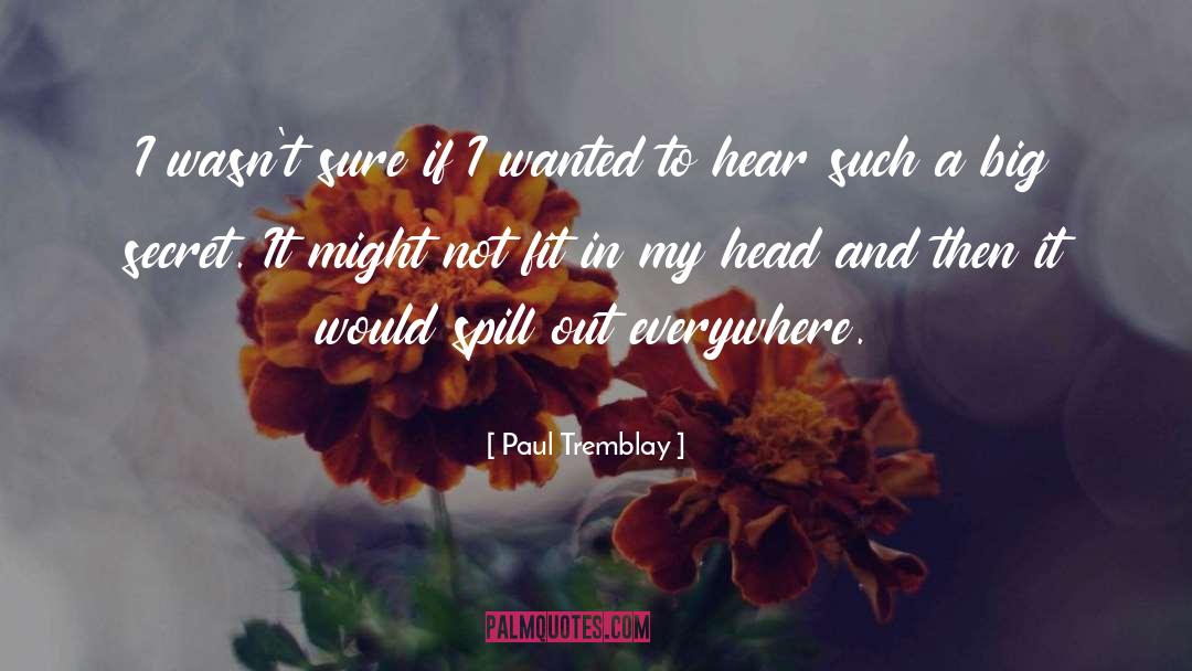 Paul Tremblay Quotes: I wasn't sure if I