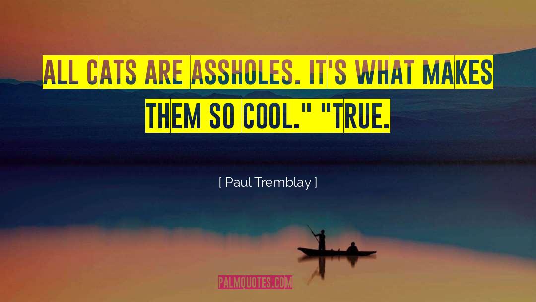 Paul Tremblay Quotes: All cats are assholes. It's