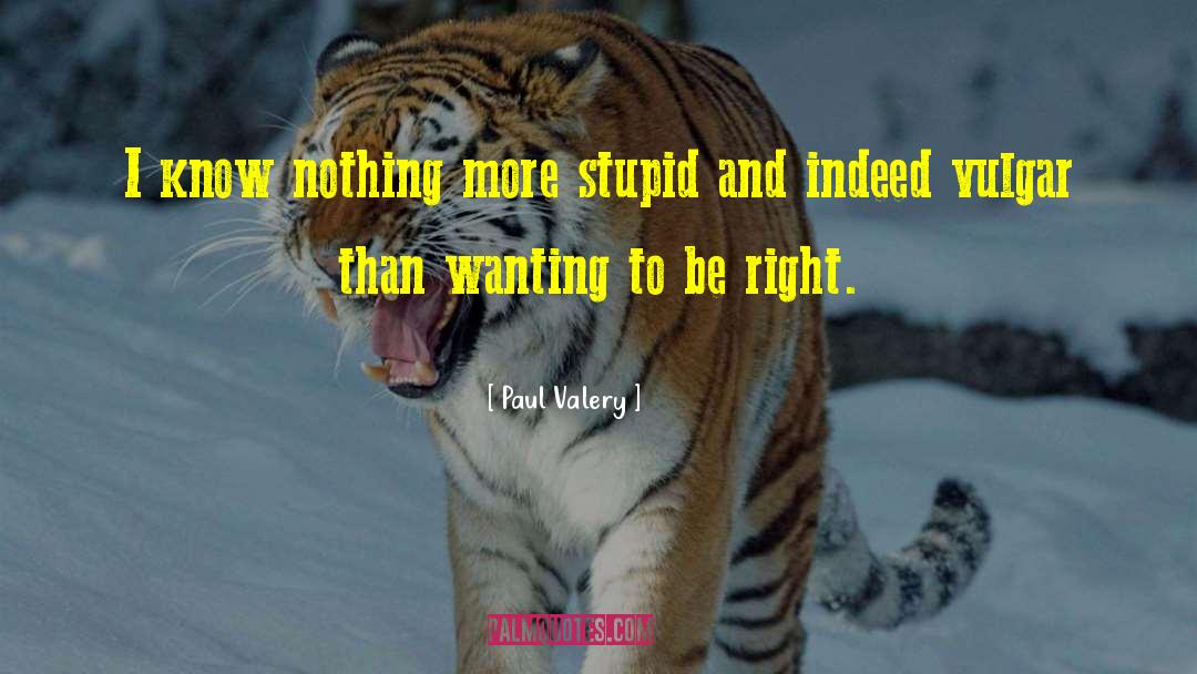 Paul Valery Quotes: I know nothing more stupid