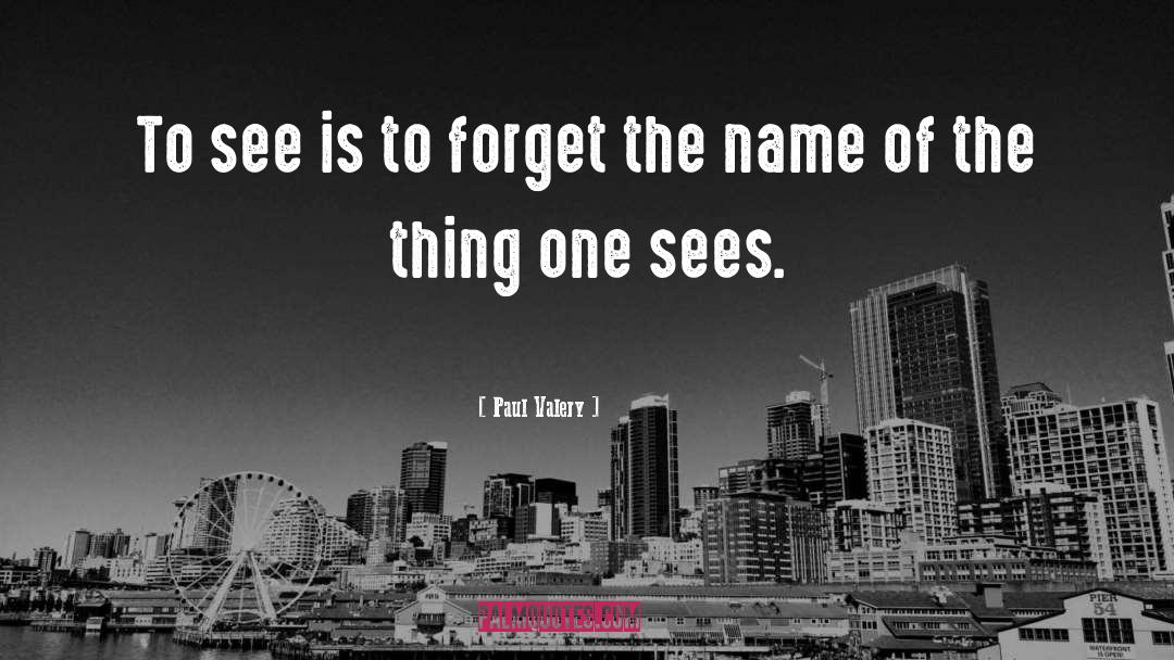 Paul Valery Quotes: To see is to forget
