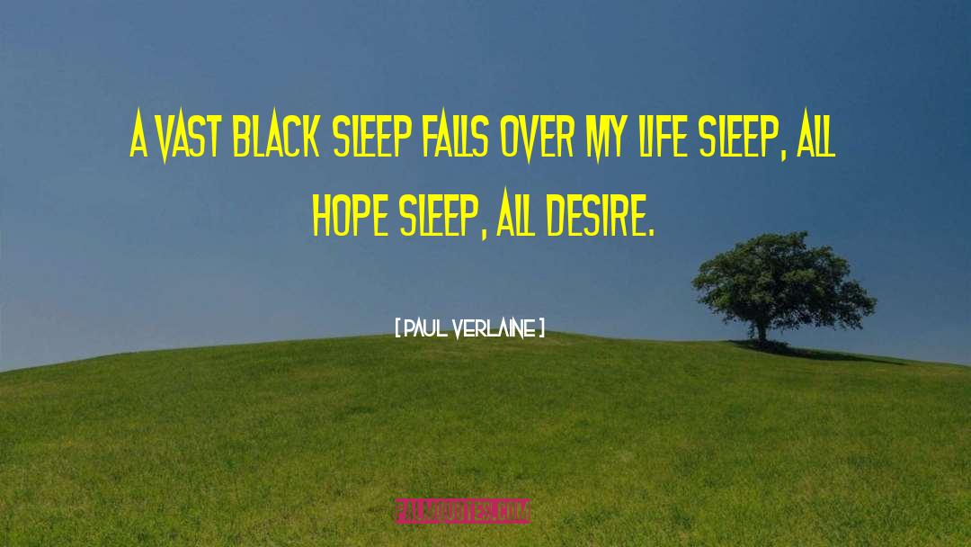Paul Verlaine Quotes: A vast black sleep falls
