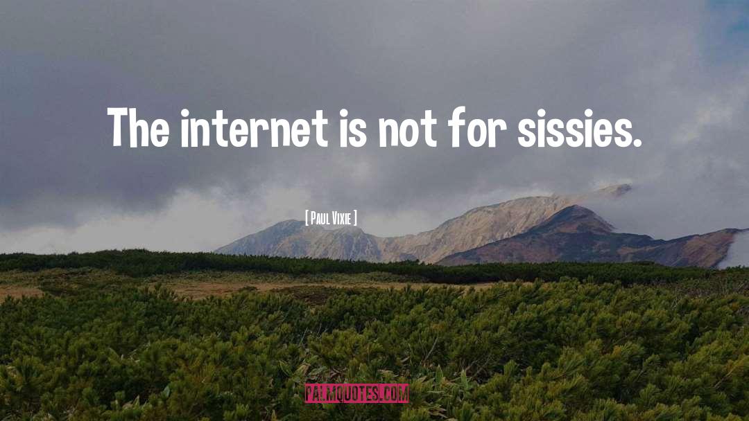 Paul Vixie Quotes: The internet is not for
