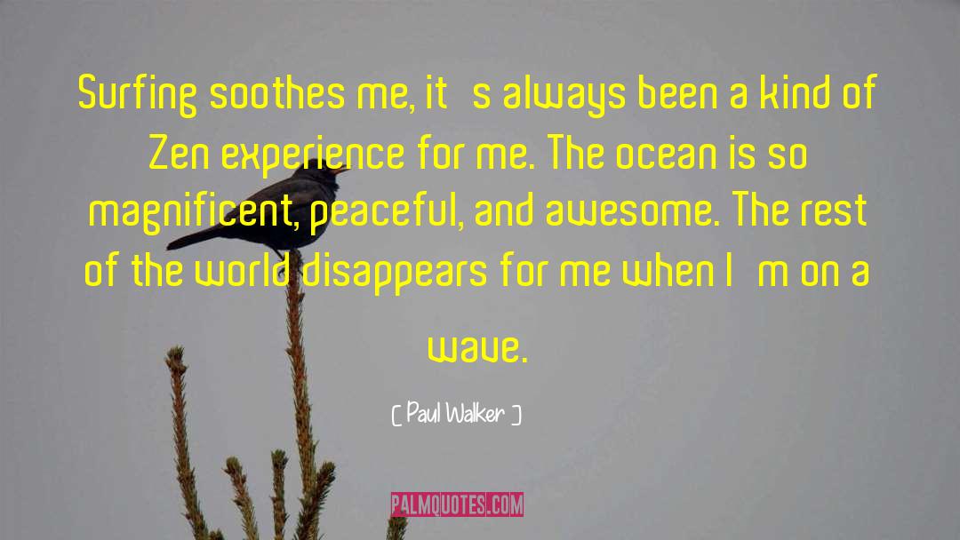 Paul Walker Quotes: Surfing soothes me, it's always