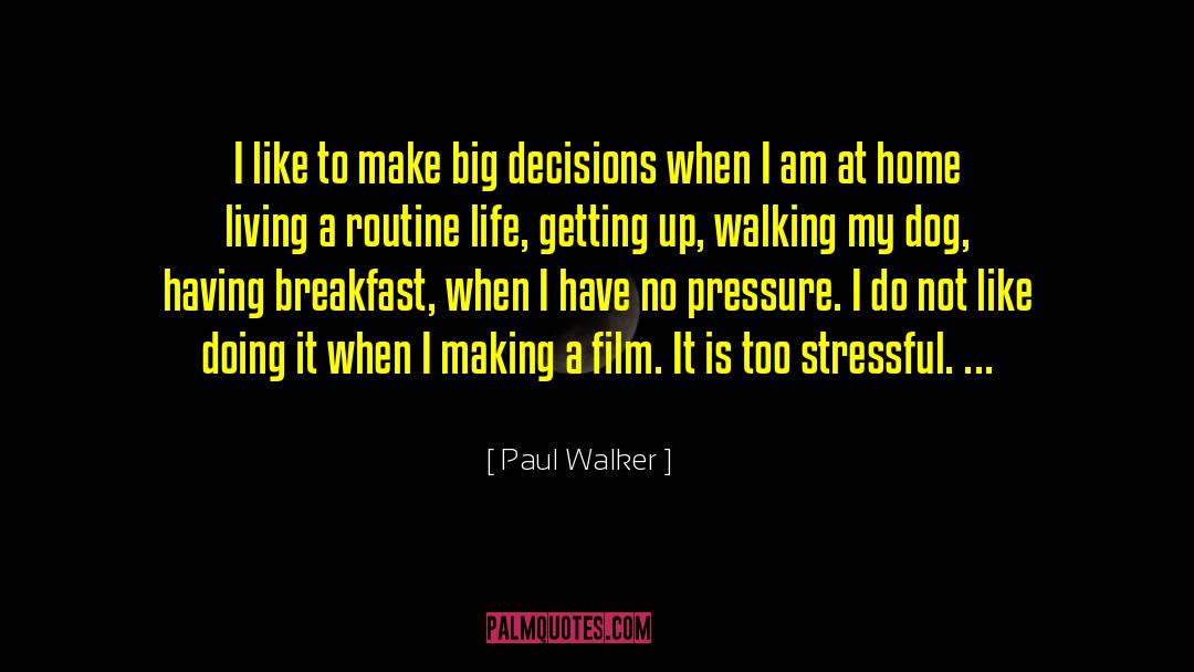 Paul Walker Quotes: I like to make big