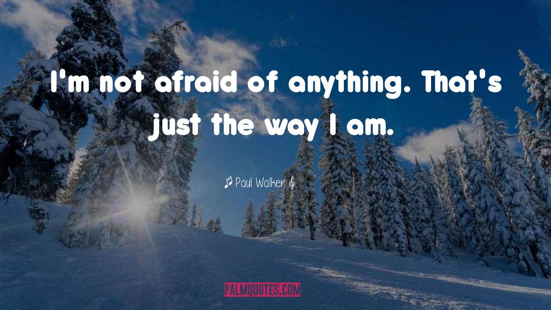 Paul Walker Quotes: I'm not afraid of anything.