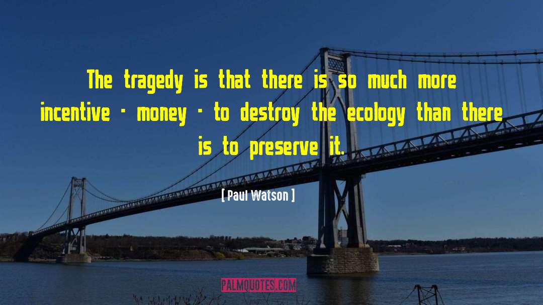 Paul Watson Quotes: The tragedy is that there