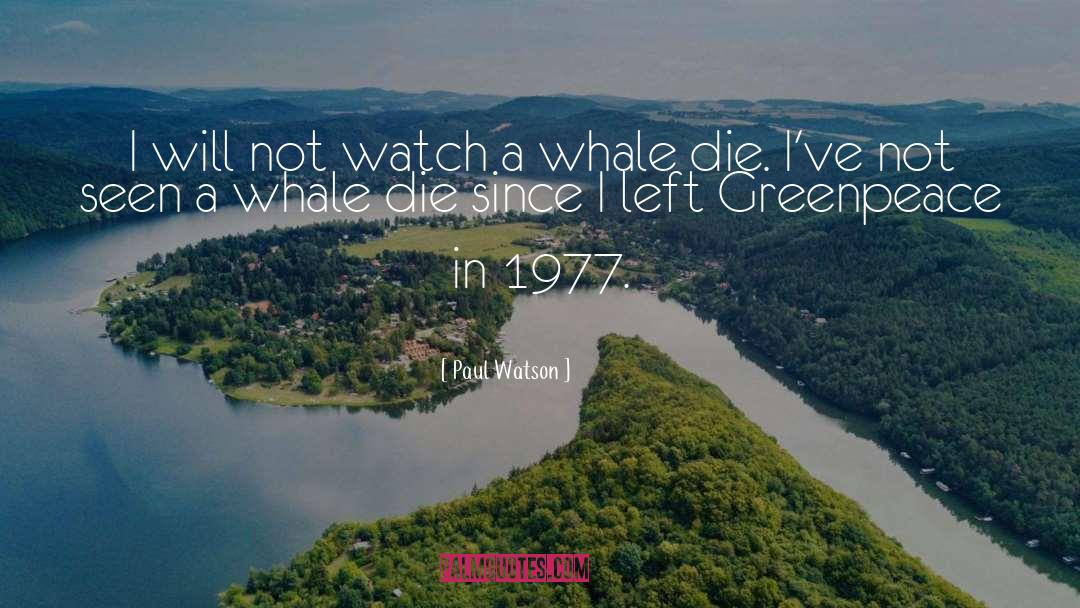 Paul Watson Quotes: I will not watch a