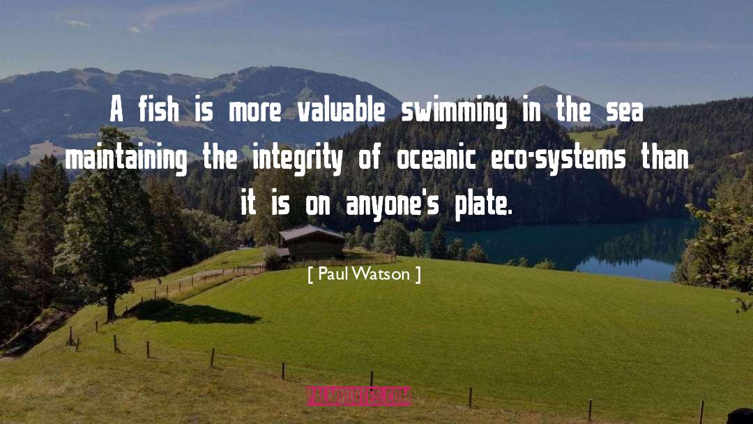 Paul Watson Quotes: A fish is more valuable