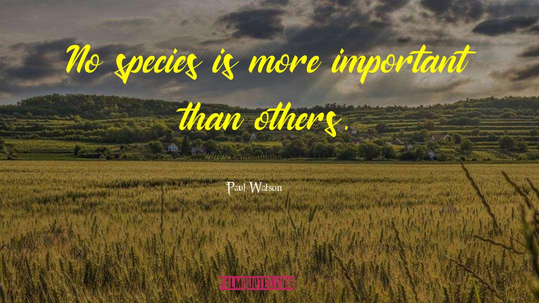 Paul Watson Quotes: No species is more important