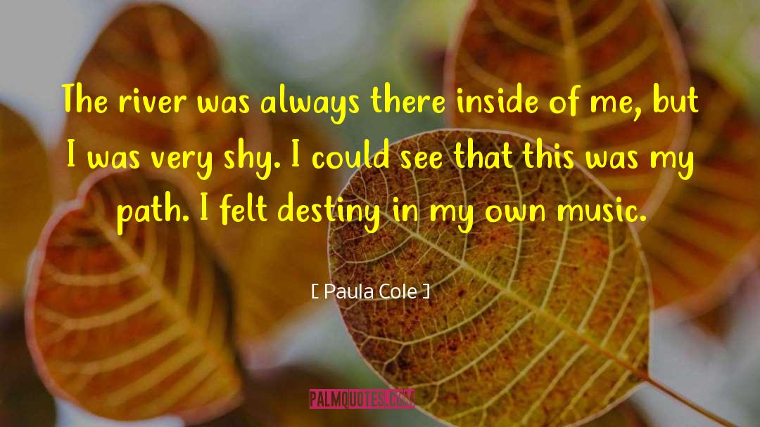 Paula Cole Quotes: The river was always there